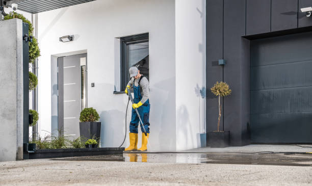 Best Solar Panel Cleaning  in Murphy, MO
